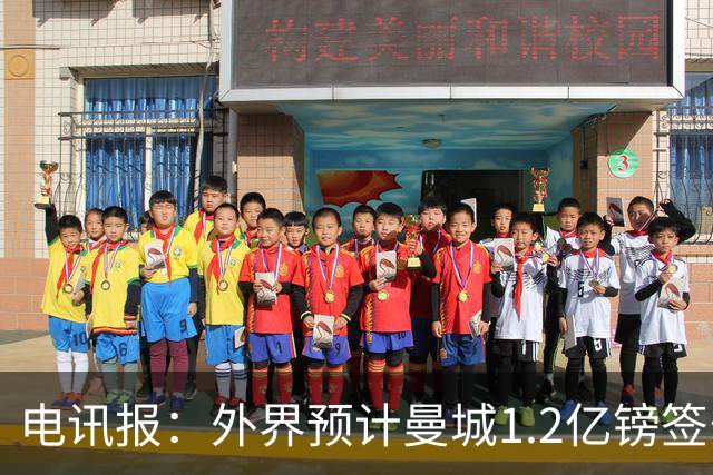 电讯报：外界预计曼城1.2亿镑签安德森 担忧这一价格引发连锁反应