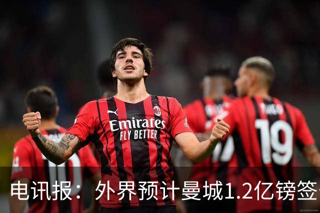 电讯报：外界预计曼城1.2亿镑签安德森 担忧这一价格引发连锁反应